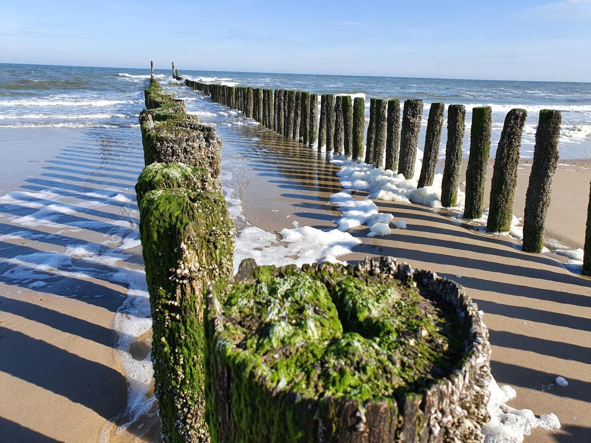 Studio Aan Zee Oostkapelle Pokoj fotografie